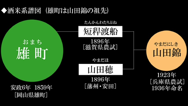 日本清酒雄町米