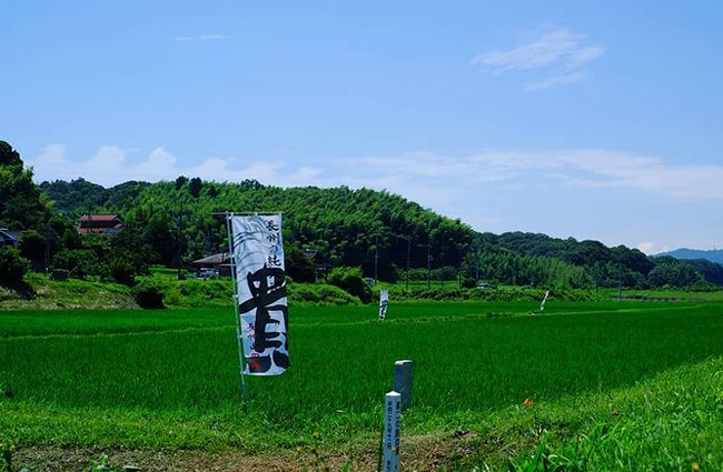 贵清酒，山田锦，酒造好适米