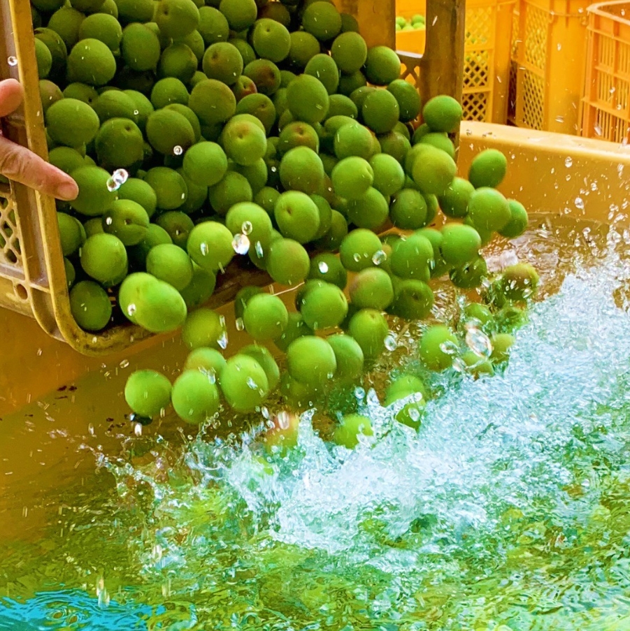 resource/images/a12e908815fc44fd8974a0e22d06d6ef_11.png