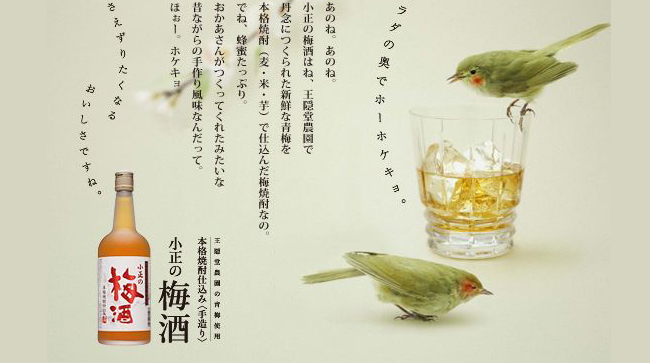 小正梅子力娇酒，梅酒