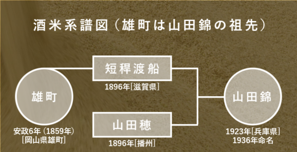 resource/images/d0250fbdbce540f7918ae5245519c6a9_16.png