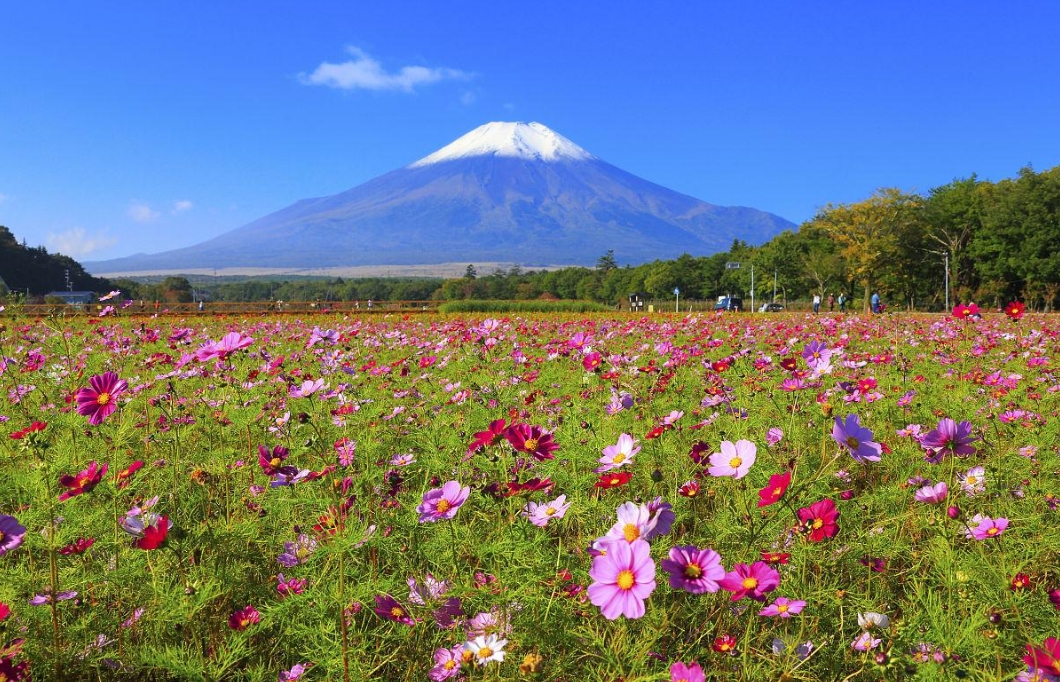 resource/images/e2aeeaa172ea41a1b14653dd5d5b5207_5.png